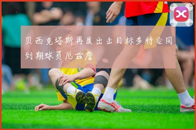 贝西克塔斯再度出击目标多特合同到期球员厄兹詹