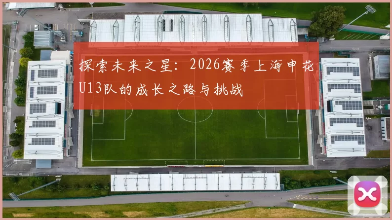 探索未来之星：2026赛季上海申花U13队的成长之路与挑战